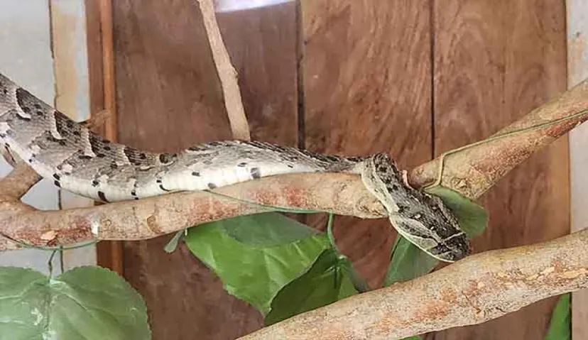 Bagamoyo Tour and House Party - Historical Sites by EpicSafari 7